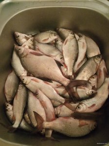 IMG_20190309_182634.jpg