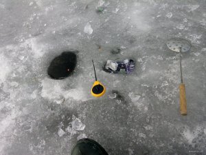 IMG_20190316_124318.jpg
