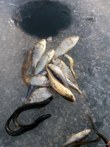 IMG_20190316_161038.jpg