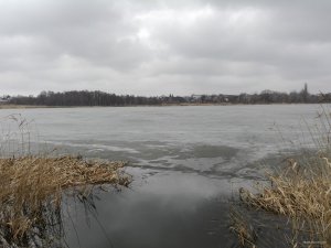 IMG_20190317_101930.jpg
