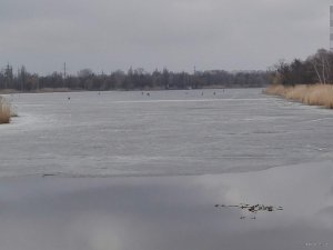 IMG_20190317_111454.jpg