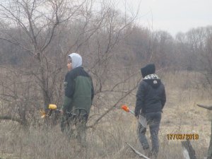 IMG_0530[1].JPG