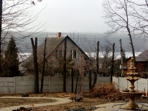 IMG_20190318_093031.jpg