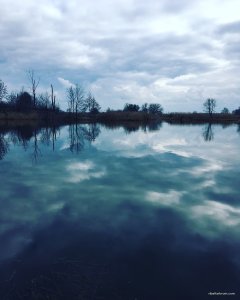 IMG_20190317_164806_133.jpg