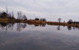 IMG_20190318_083916.jpg