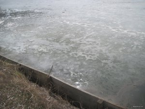 IMG_9780.JPG