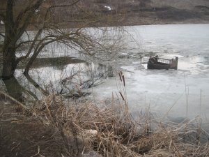 IMG_9782.JPG