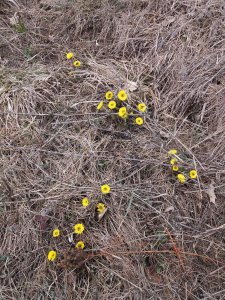 20190320_130639.jpg