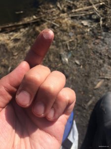 01E0387A-A6AE-4DFB-90C7-5B63573DB8E9.jpeg
