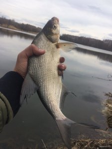 83F02E5F-C313-44CF-A646-25B056B06DDA.jpeg