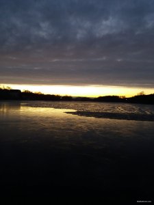 20190322_051902.jpg
