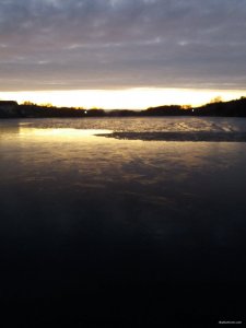 20190322_051908.jpg