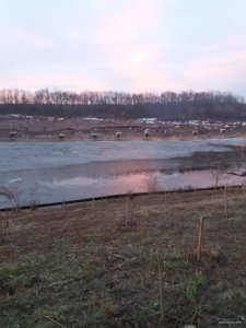20190322_053015.jpg