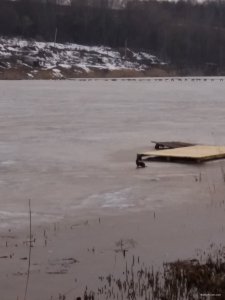 20190316_172543.jpg