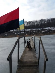 20190319_090045.jpg