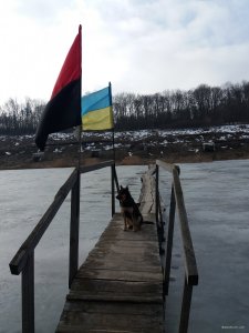 20190319_090049.jpg