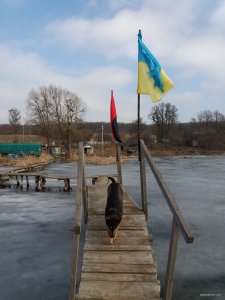 20190319_085955.jpg