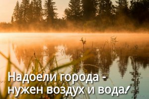 IMG-d9cea25ae38aa6fc090c42cb2bfb36c6-V.jpg