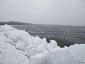 IMG_20190323_093025.jpg