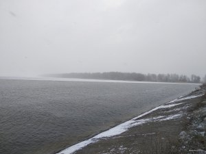 IMG_20190323_071150.jpg
