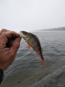 IMG_20190323_100438.jpg