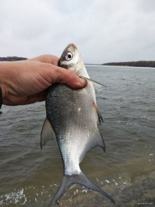 IMG_20190323_105844.jpg