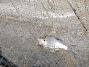 IMG_20190323_105755.jpg
