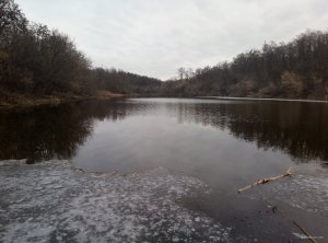 IMG_20190324_072644.jpg