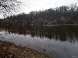 IMG_20190324_073010.jpg