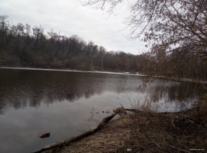 IMG_20190324_073014.jpg