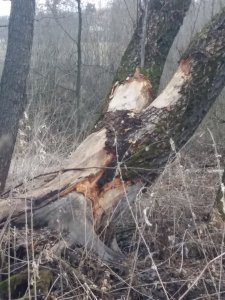 20190323_141550.jpg