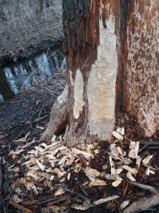 20190323_142020.jpg