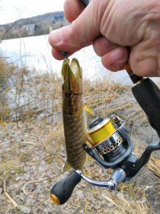 IMG_20190324_112148.jpg