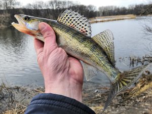 IMG_20190324_151338.jpg