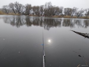 IMG_20190323_074542.jpg