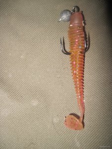 IMG_9834.JPG