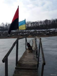 20190319_090049.jpg