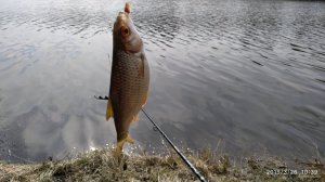 IMG_20190326_103915.jpg