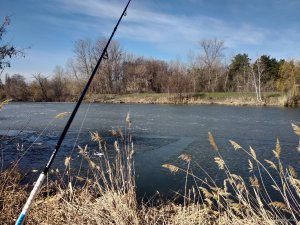 IMG_20190325_093716.jpg