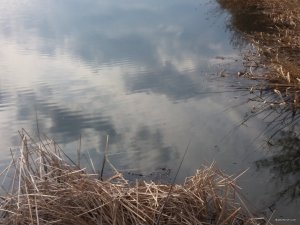 20190326_143901.jpg