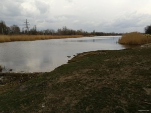 IMG_20190327_132824[1].jpg