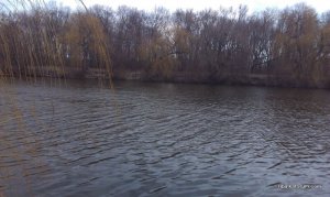IMG_20190329_071948_877.jpg