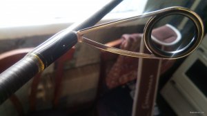 IMG_20190329_073606.jpg