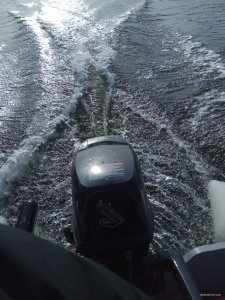IMG_20190325_150611.jpg