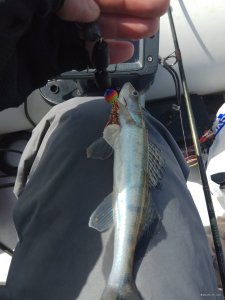 IMG_20190325_104752.jpg