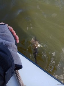 IMG_20190325_102837.jpg
