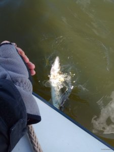 IMG_20190325_102836.jpg