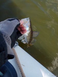 IMG_20190325_102833.jpg