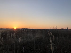 65B46C11-34F9-4191-9D91-9C9941EF93B2.jpeg