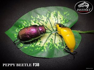 319B3FAA-24C7-492E-981E-8063D93D1AF8.jpeg